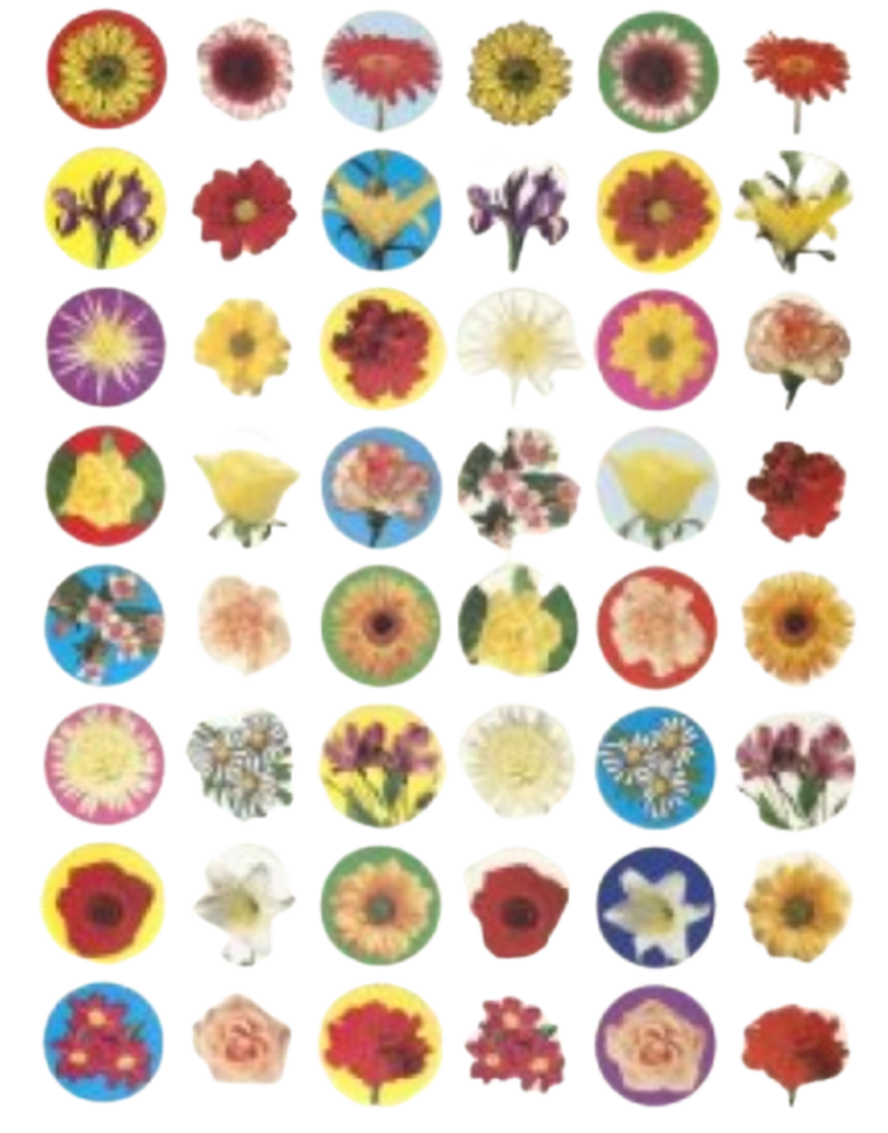 Round Circle Dot Mini Photo Flower Stickers – 10 Sheets, 480 Pack (17mm / 0.66") Colorful Floral Stickers for Classroom Rewards, Scrapbooking & Crafts